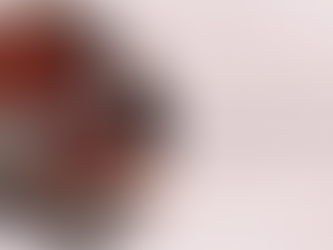 "The Luxury of Leather: Elevating Your Lifestyle with Prathamesh's Leather Products