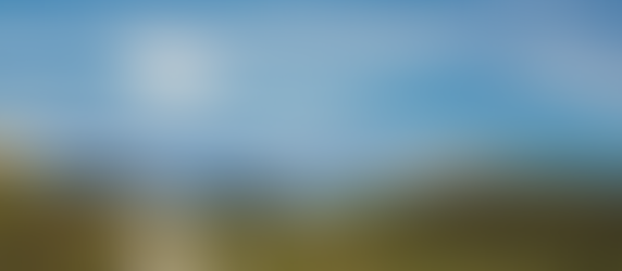 Taking the Long Way Home