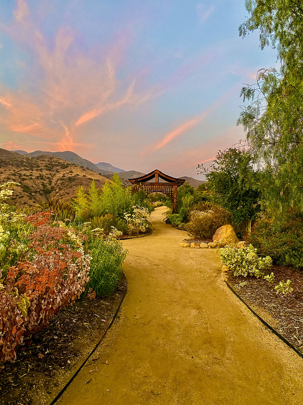Embracing Unanimity: A Sunset Meditative Walk in Oneness with Jodie Skalla