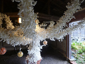 P1020381.jpg