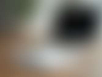 Essential Steps to Build a Powerful Brand That Attracts Clients and Opportunities