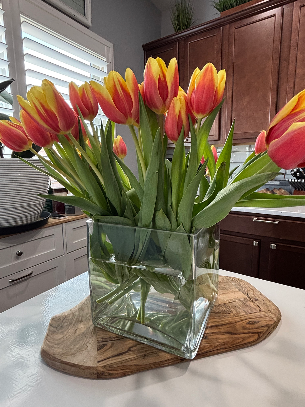 Creating a Spa-Like Home and a Life of Intention