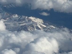 Elevate, Empower, and Shine: The Characteristics of a Diva