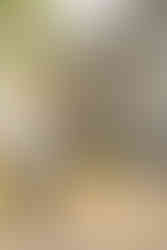 Downtown Lititz Engagement, Elizabeth Lantz Photography