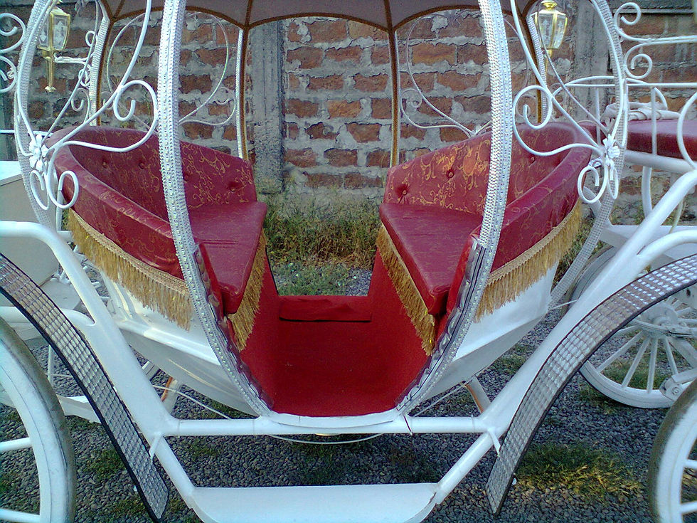 Foto0219.jpg