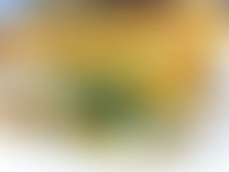 PASTEL DE HOJALDRE Y POLLO.