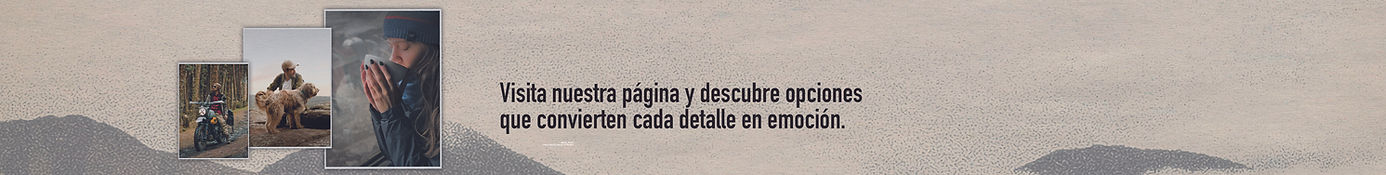 banner abajo copia.jpg