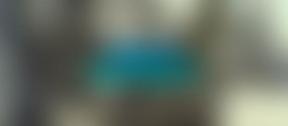 Quem foi Dom Pedro II