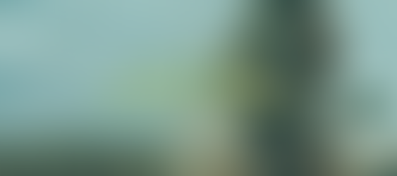 O MENINO QUE DESCOBRIU O VENTO E A IMPORTÂNCIA DE AGIR LOCALMENTE!