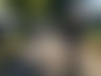 Movement as Medicine: How Fitness Supports Mental and Emotional Health