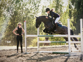 Tips on choosing a riding school or Livery Yard.