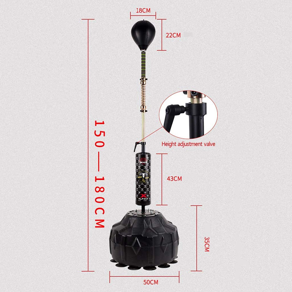 Thumbnail: Free Standing punching bag