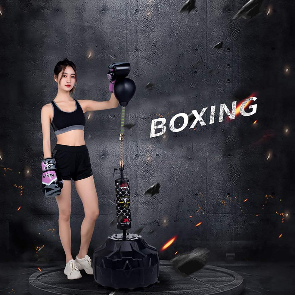 Thumbnail: Free Standing punching bag