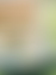 Courtney & Matt (Pinebrook Golf & Country Club)