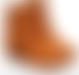 5 zapatos que toda fashionista necesita en su closet - 5 shoes that every fashionista