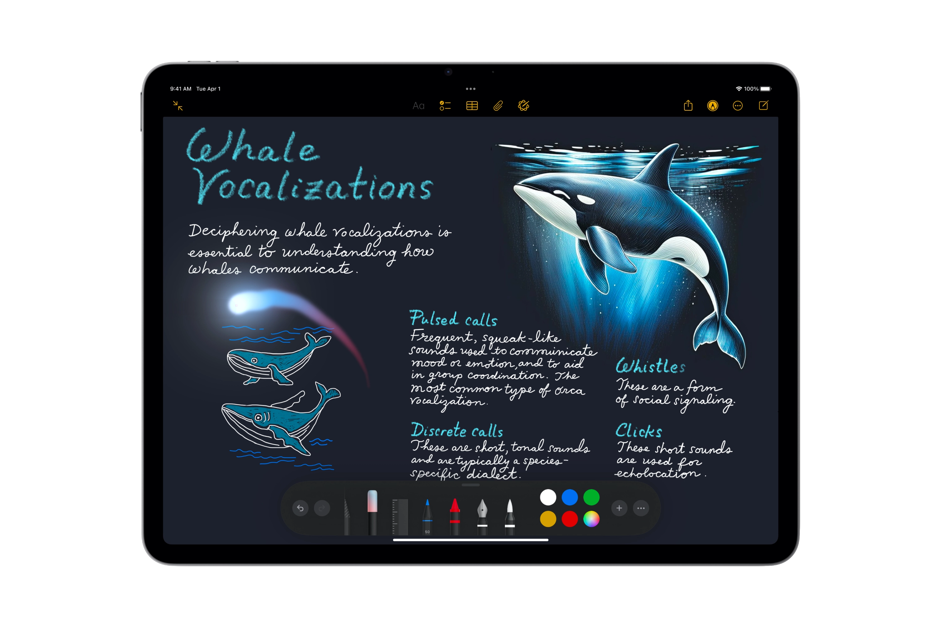 La Baguette graphique dans l’app Notes sur un iPad Air avec puce M3.