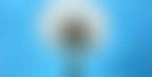 photos prises par un iPhone 17 - Mageek Store - Tunisie