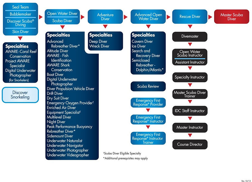flow chart.jpeg