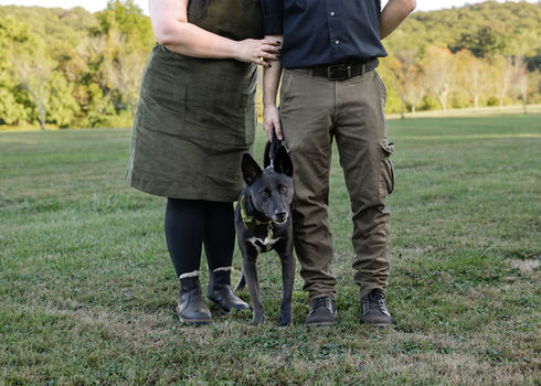 pet photography, pet photographer near me, northern new jersey pet photography, new jersey pet photographer, nj pet photographer, pet legacy photography, pet legacy photographer, pet end-of-life photography, pet end-of-life photographer