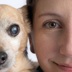 pet photographer