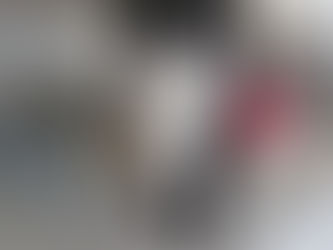 Kat's Corner: Why Slow Introductions Matter So Much for Cats