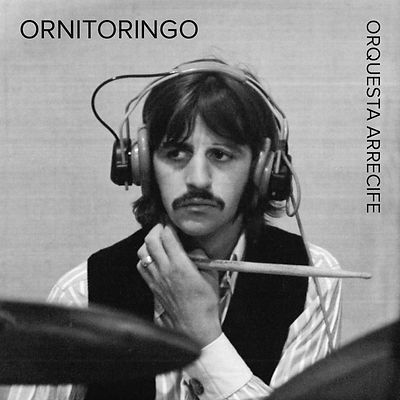 Ornitoringo cover.jpg
