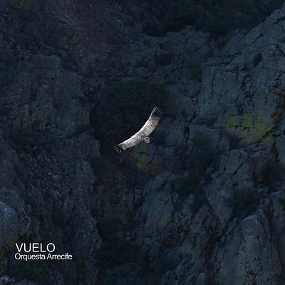 Vuelo compilation.jpg