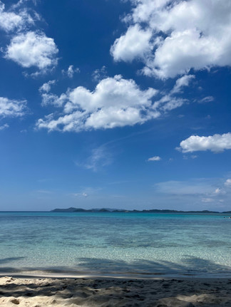 Coconut Beach, Port Barton, Palawan, Philippines