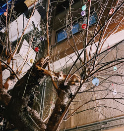 JPEG image-49F237EF2181-14.jpeg