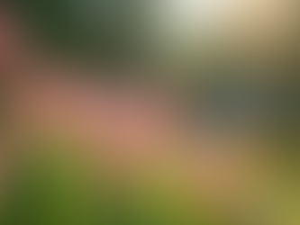 Discover the Unique Approach of Allow-Natural-Death for End-of-Life Planning