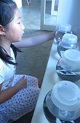 IMG_5942.JPG