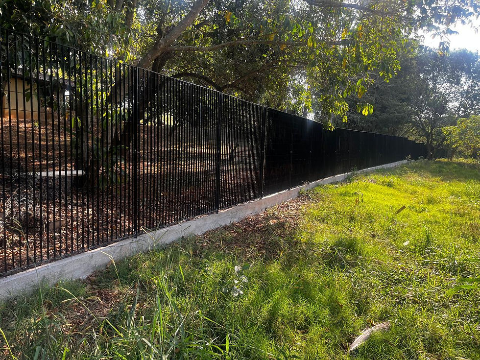 WhatsApp Image 2024-08-28 at 18.10.21 (1).jpeg