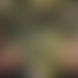 Enriching Buffalo's Islamic Community with Spiritual Teachings