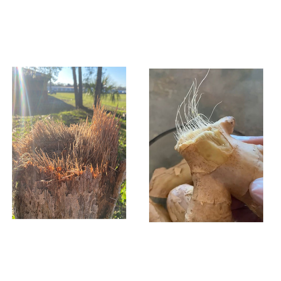 Broken To Release What Heals