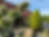 Screenshot 2023-11-30 170030.png