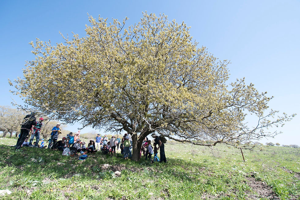 משפחות מטיילות