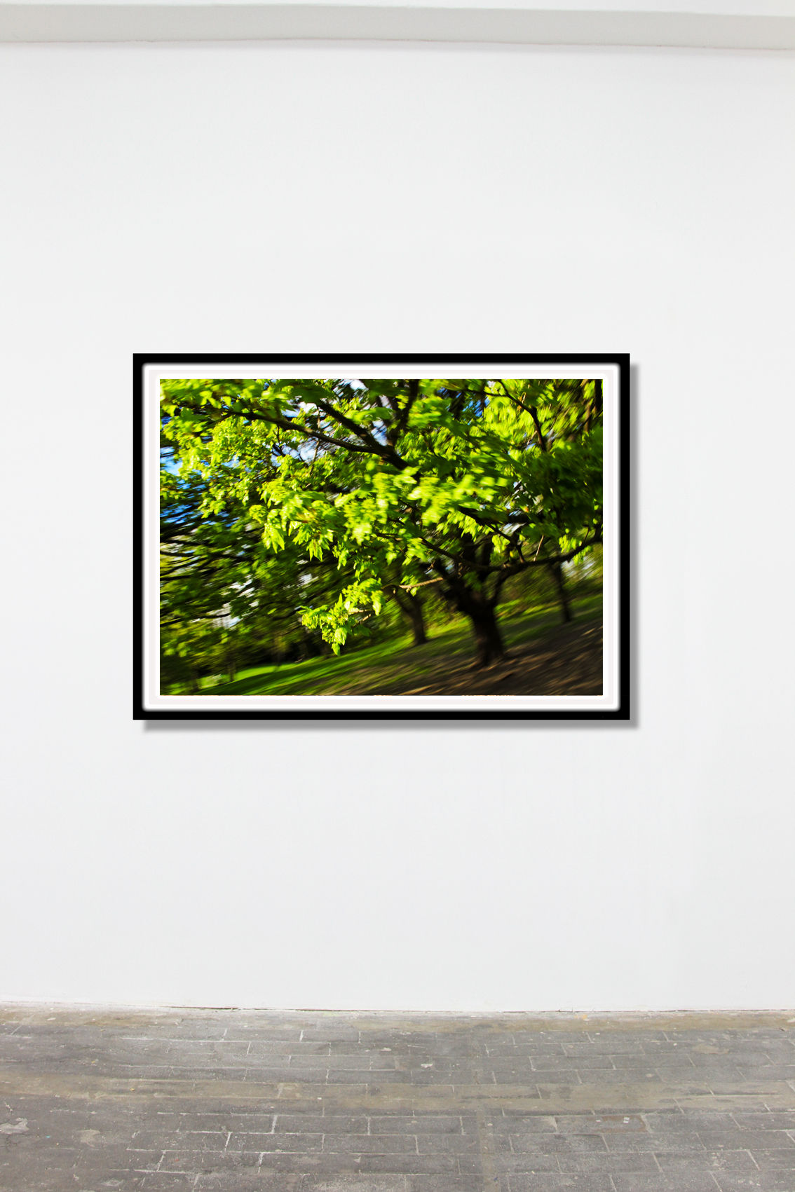 Der mit dem Baum tanzt