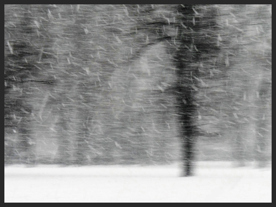 Winter 5