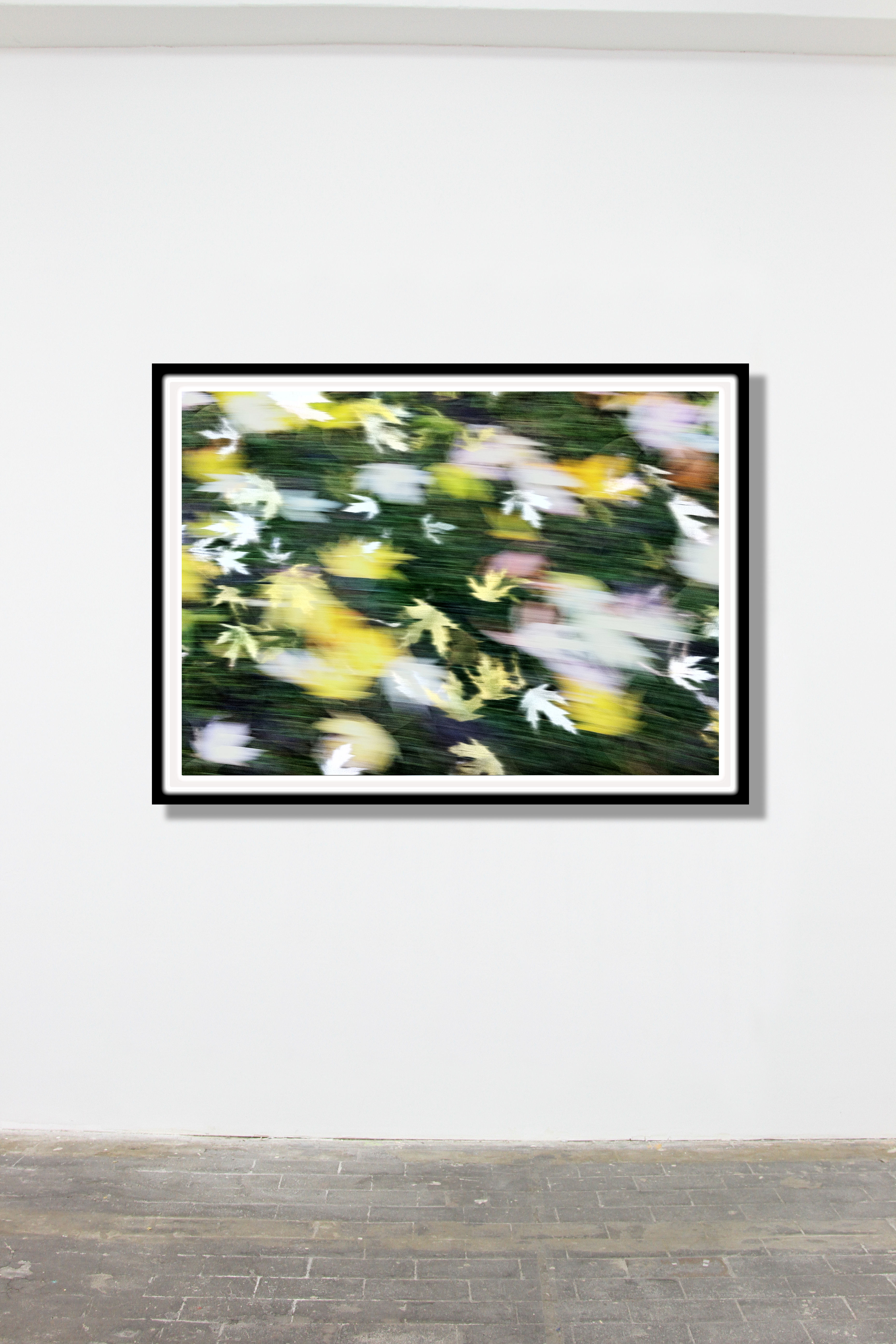 Leaves on Speed I