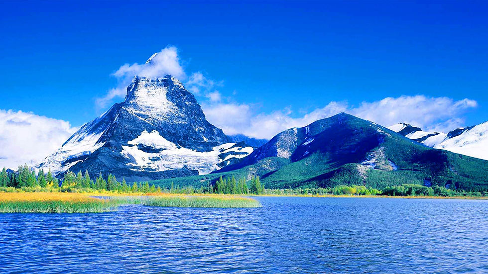 Miniatura: CALDO DE CARNE - FONDO DE MONTAÑA  850gr--- LOTE 6 BOTES