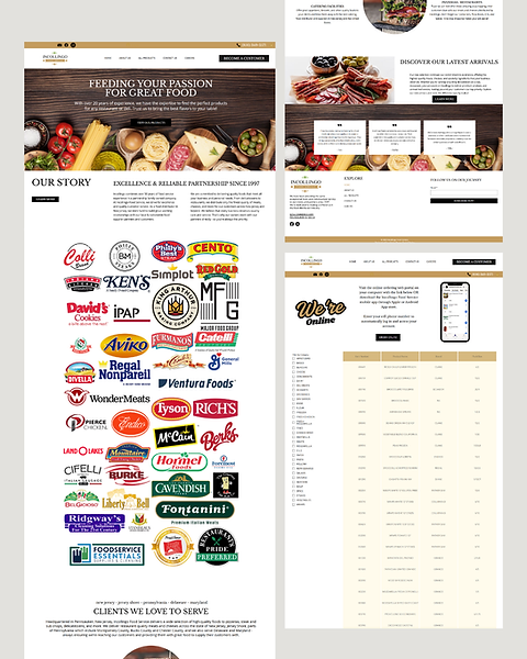 Web Design Project Showcase