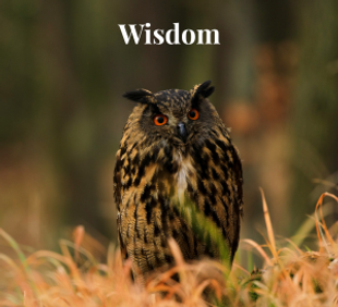 Wisdom.png
