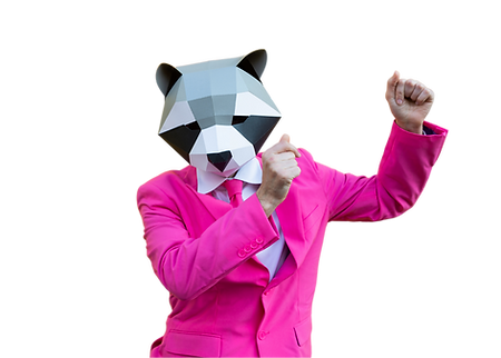 Robbie Racoon