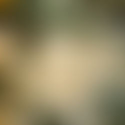 Port Farms 2026 Ornament