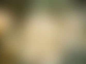 Port Farms 2026 Ornament