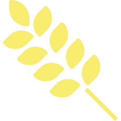 Diététique Nort sur Erdre