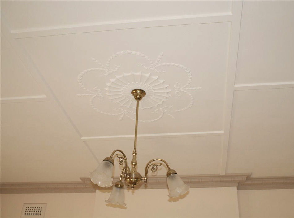 Ceiling replacement McKinnon