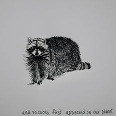 Ink illustration of a racoon