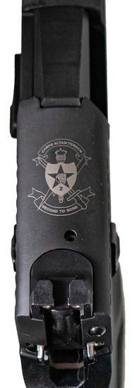 SIG P250 45ACP_11.jpg