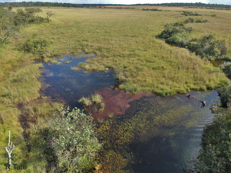 Kasai River (Cassai) Headwaters - Angola